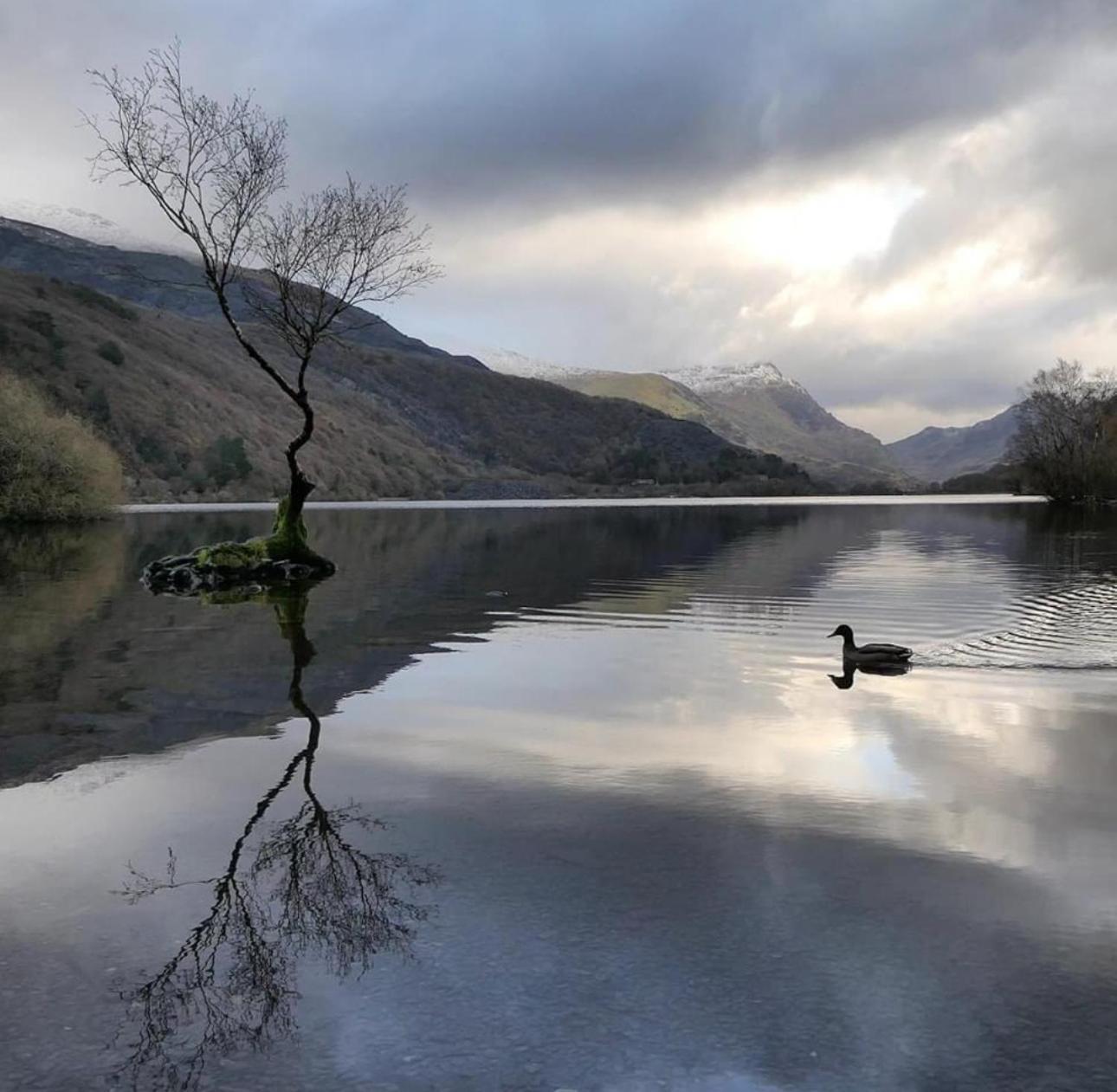 Cosy 2 Bedroom Cottage In Betws Y Coed, Snowdonia Ngoại thất bức ảnh